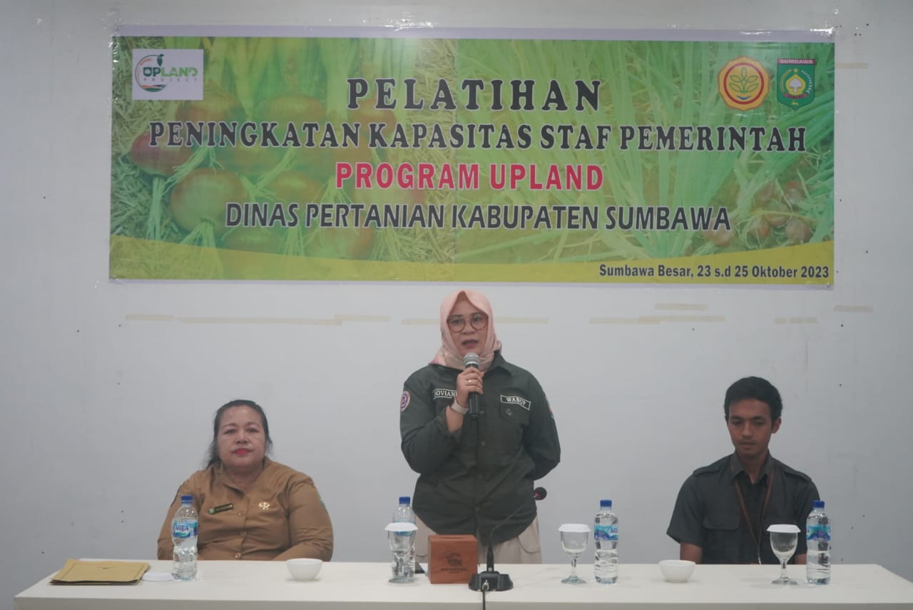 Sumbawa Targetkan Peringkat Ketiga sebagai Daerah Penyalur Bawang se-Indonesia Sumbawa Targetkan Peringkat Ketiga sebagai Daerah Penyalur Bawang se-Indonesia