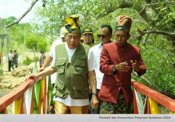 Ekowisata Mangrove Pulau Nanga Objek Wisata Baru di Sumbawa Ekowisata Mangrove Pulau Nanga Objek Wisata Baru di Sumbawa