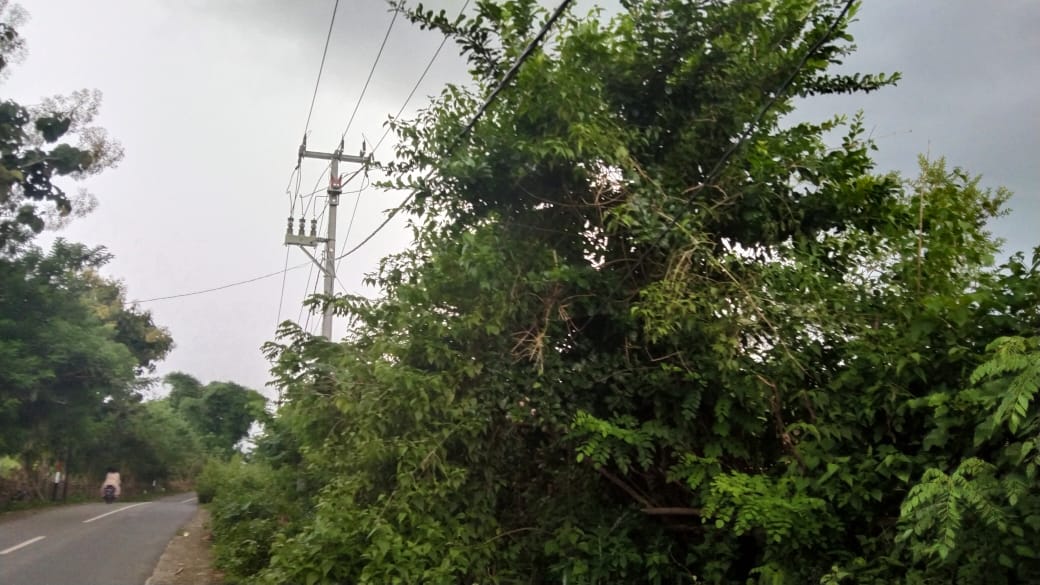 Listrik Wilayah Lenangguar Sering Padam, Komitmen Pelayanan PLN Dipertanyakan