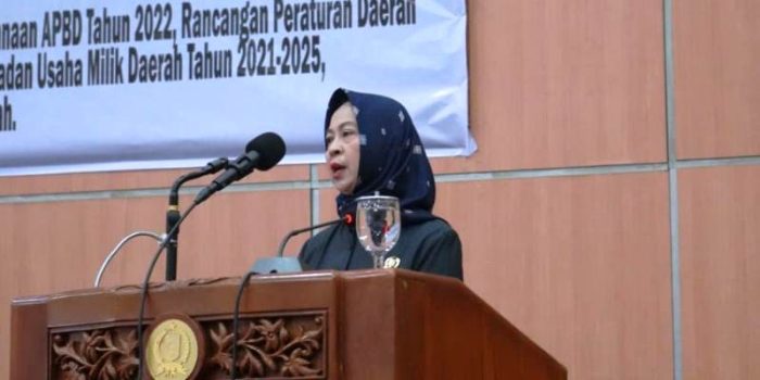 Soal Pemberian Insentif dan Kemudahan Investasi, Fraksi Demokrat Minta Pengusaha Lokal dan Kecil Diperhatikan Soal Pemberian Insentif dan Kemudahan Investasi, Fraksi Demokrat Minta Pengusaha Lokal dan Kecil Diperhatikan
