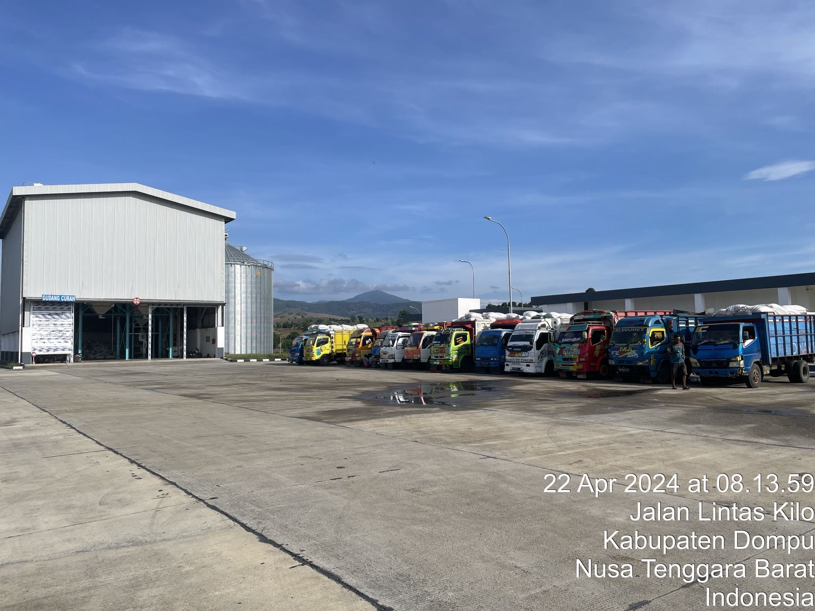 Bulog Bima Terapkan Dua Skema Pembelian Jagung untuk Atasi Gejolak Harga