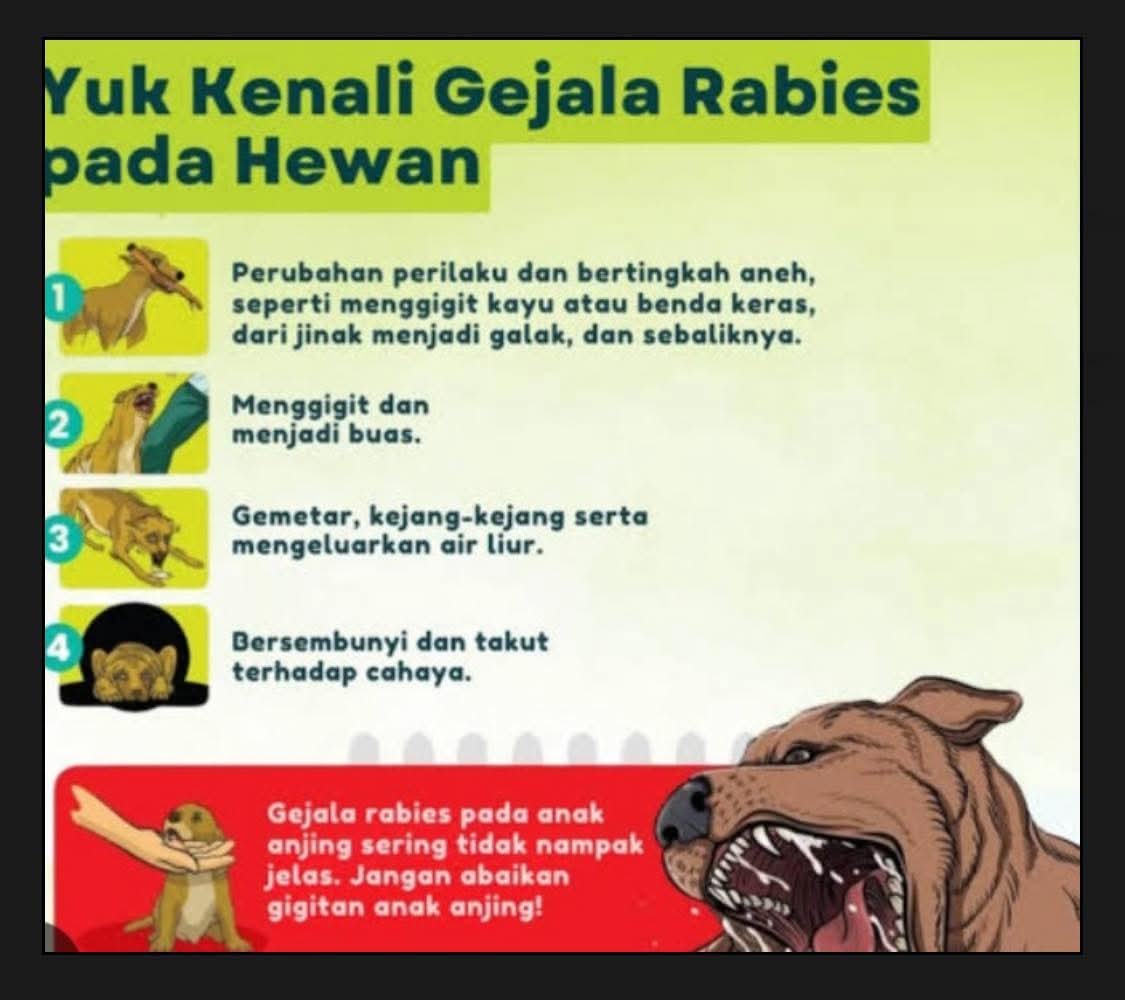 Dinas Kesehatan Gencarkan Langkah Hapus Status KLB Rabies di Sumbawa Dinas Kesehatan Gencarkan Langkah Hapus Status KLB Rabies di Sumbawa