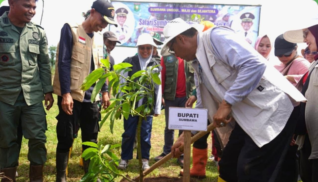 Rehabilitasi Lahan Kritis, Pemkab Sumbawa Hijaukan Desa Mata Tarano