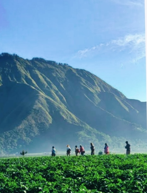 Pesona Sembalun, Oase Hijau di Kaki Rinjani dan Geliat Ekonomi Warga Pesona Sembalun, Oase Hijau di Kaki Rinjani dan Geliat Ekonomi Warga