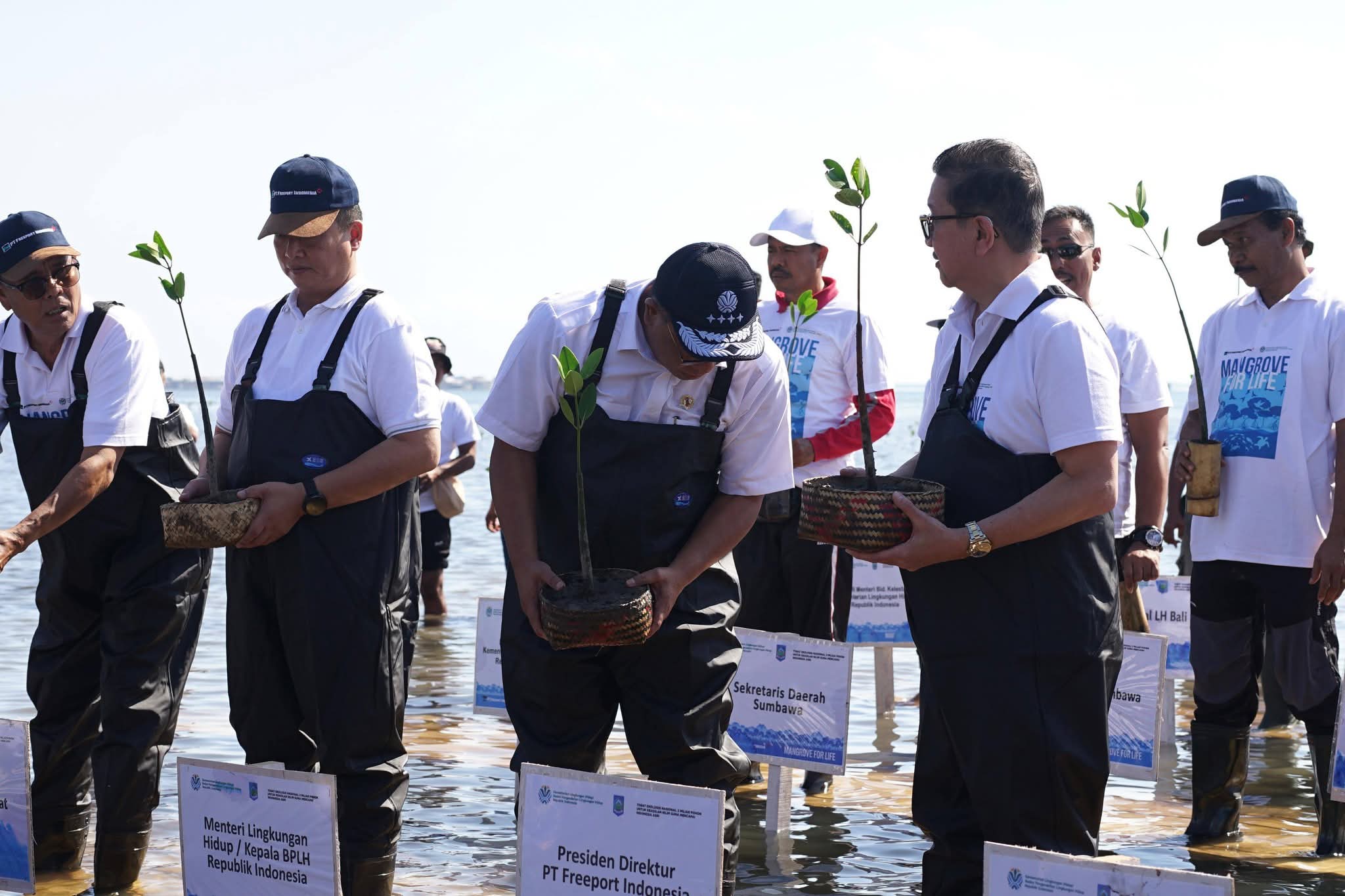 Dukung Tobat Ekologis Nasional, Menteri LH dan Bupati Sumbawa Tanam Mangrove di Labuhan Alas Dukung Tobat Ekologis Nasional, Menteri LH dan Bupati Sumbawa Tanam Mangrove di Labuhan Alas
